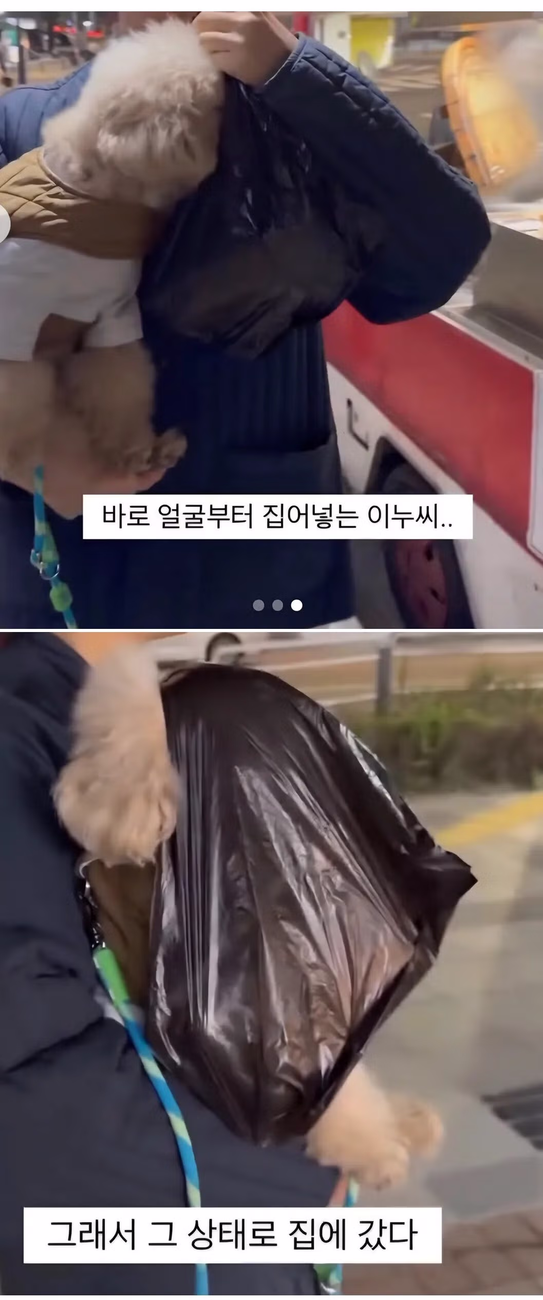 집 앞에 생긴 놀라운 광경 - 인벤 인기글 이미지 2 - 밈카세