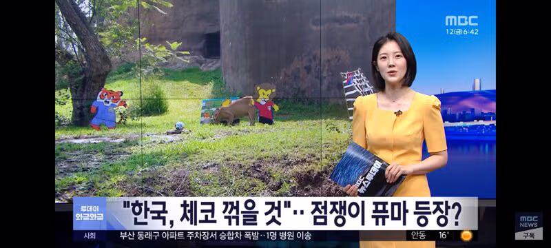 홍명보 감독과 체코 감독의 운세 결과 - 클리앙 인기글 이미지 4 - 밈카세