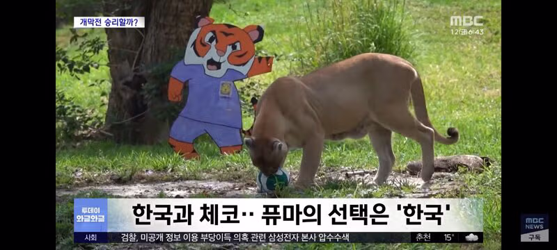 홍명보 감독과 체코 감독의 운세 결과 - 클리앙 인기글 이미지 7 - 밈카세