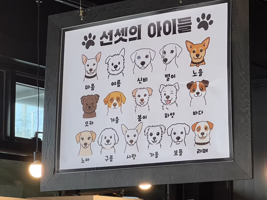 커피 마시러 왔는데 유기견 보살펴서 입양보내는 주인이 계시네 - 개드립 인기글 이미지 3 - 밈카세