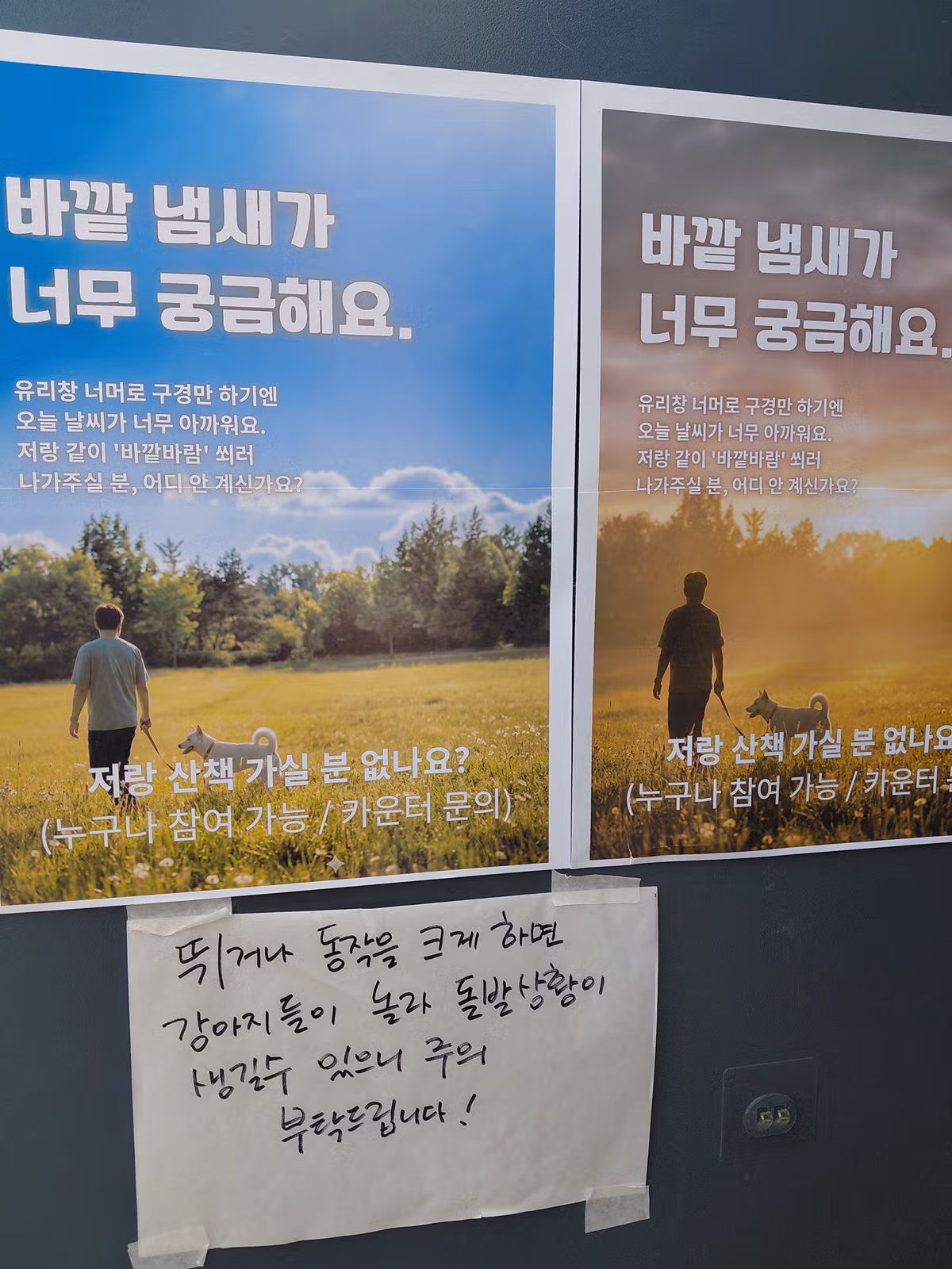 커피 마시러 왔는데 유기견 보살펴서 입양보내는 주인이 계시네 - 개드립 인기글 이미지 18 - 밈카세