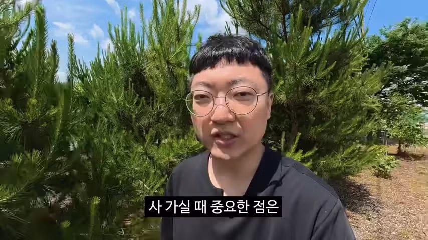 광고주에게 거침없이 말하는 김선태 - FM코리아 인기글 이미지 4 - 밈카세
