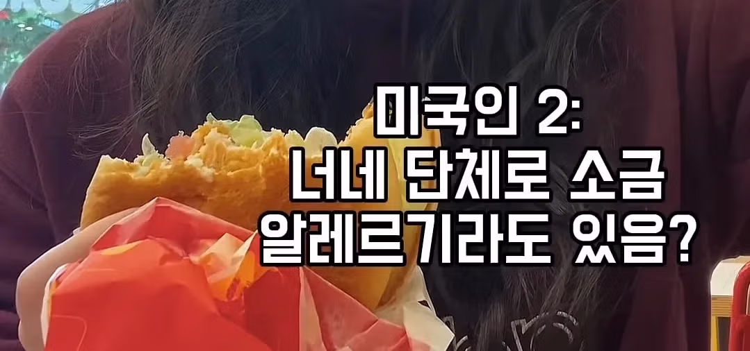 미국인들이 말하는 한국 감자튀김의 아쉬운 점 - 디시인사이드 인기글 이미지 5 - 밈카세