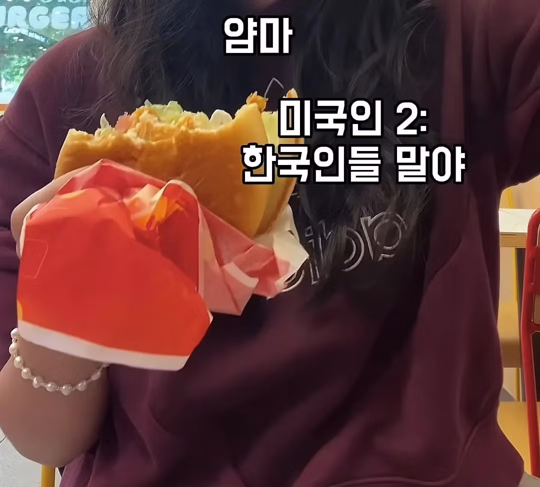 미국인들이 말하는 한국 감자튀김의 아쉬운 점 - 디시인사이드 인기글 이미지 7 - 밈카세