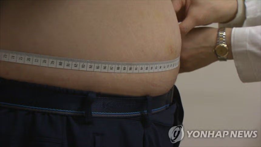 성인 3명 중 1명 비만 그리고 3040 남성 비만율 50퍼센트 돌파 - MLB파크 인기글 이미지 1 - 밈카세
