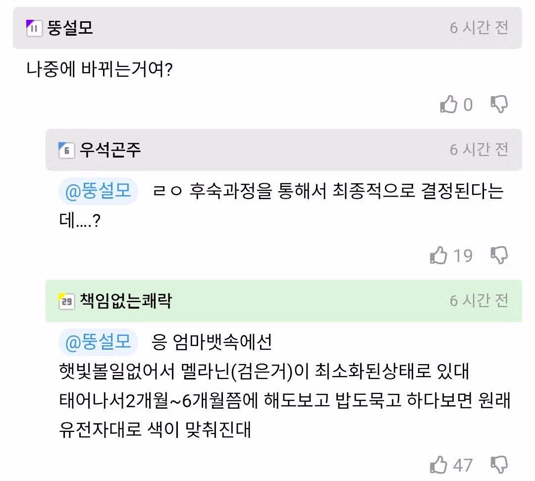 검은 태아를 본 적 없다는 주장의 황당함 - 더쿠 인기글 이미지 3 - 밈카세