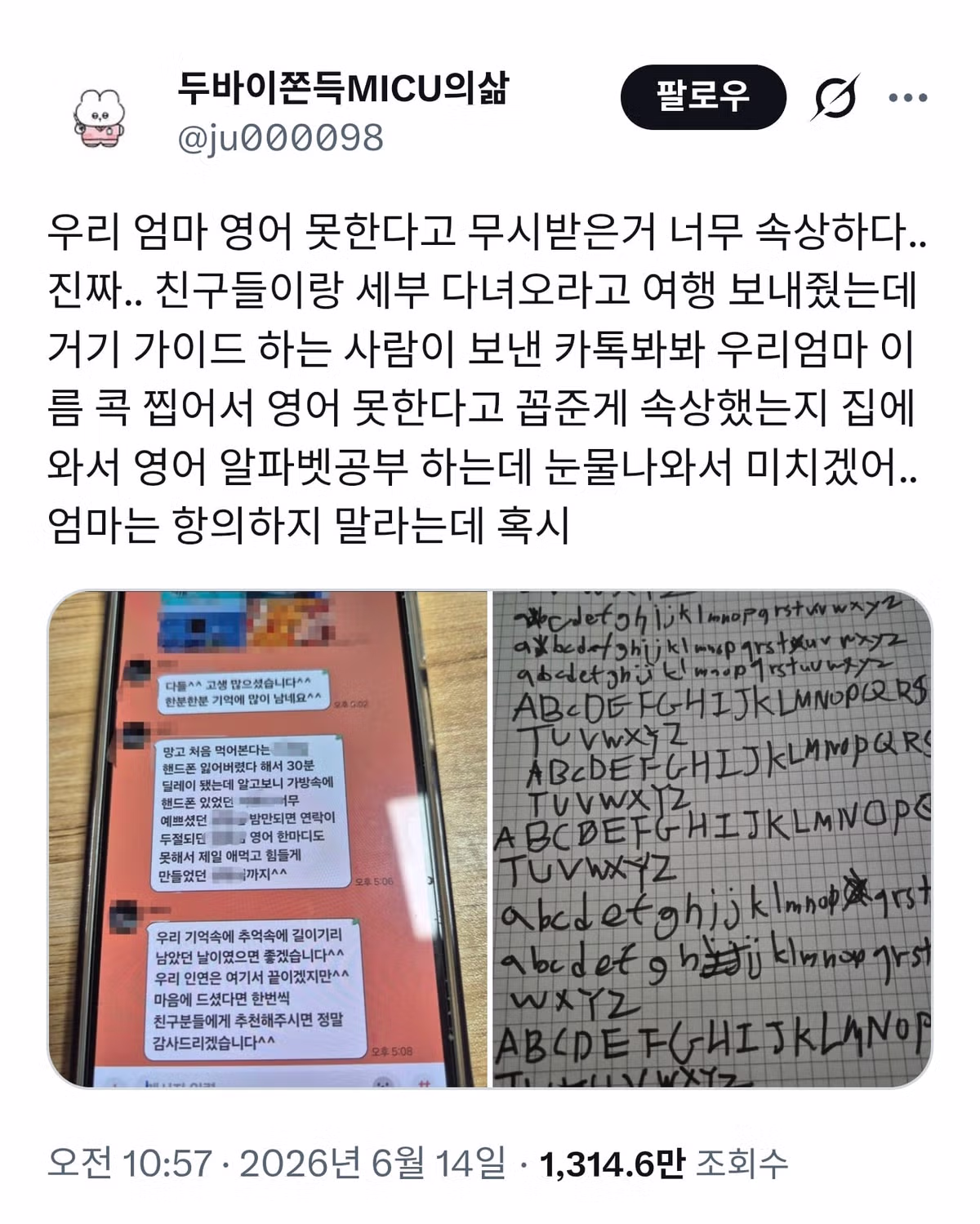 영어 못한다고 무시당한 어머니를 본 뒤 느낀 속상함 - 인벤 인기글 이미지 1 - 밈카세