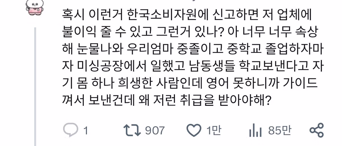 영어 못한다고 무시당한 어머니를 본 뒤 느낀 속상함 - 인벤 인기글 이미지 2 - 밈카세