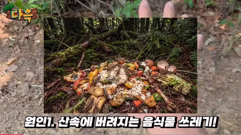 해충 방역을 위해 어디까지 가능할까 - 인벤 인기글 이미지 3 - 밈카세