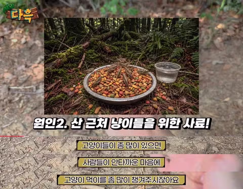 해충 방역을 위해 어디까지 가능할까 - 인벤 인기글 이미지 4 - 밈카세