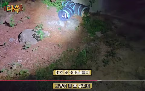해충 방역을 위해 어디까지 가능할까 - 인벤 인기글 이미지 7 - 밈카세