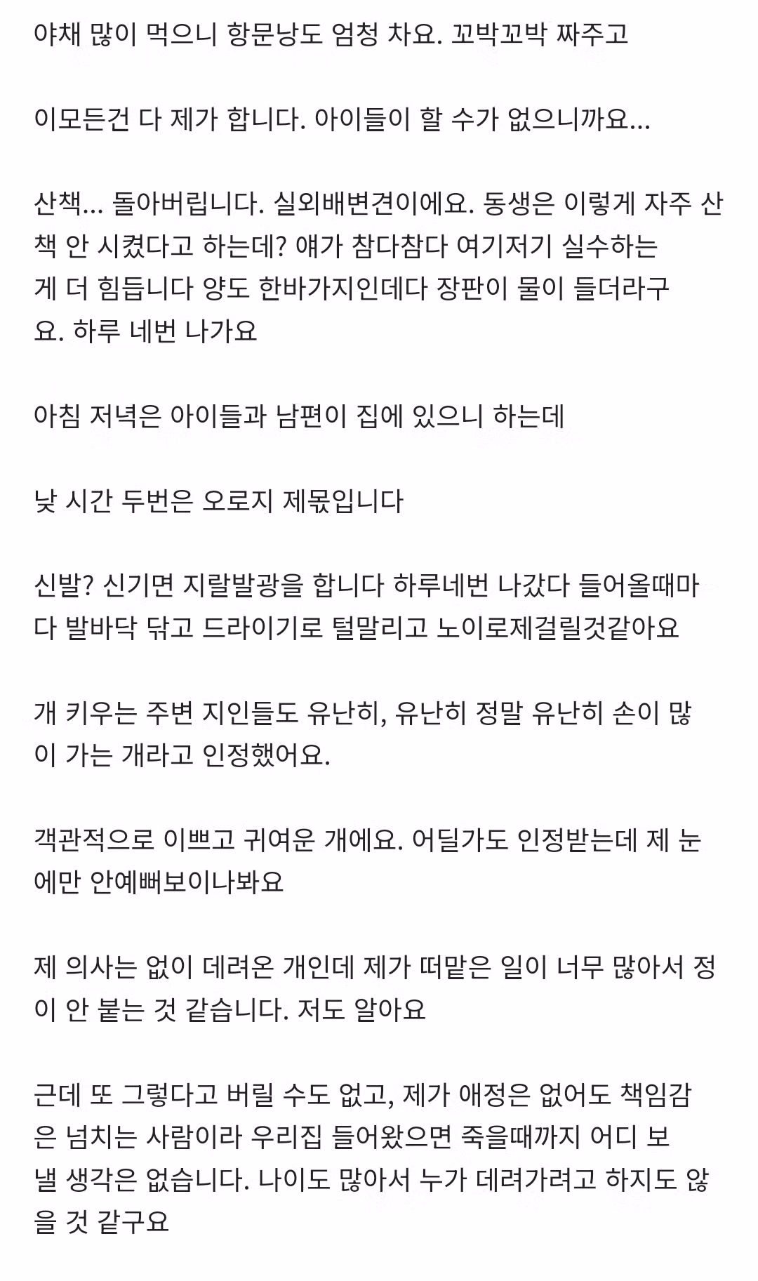 [네이트판] 데려온 개가 도무지 예뻐지질 않습니다 4