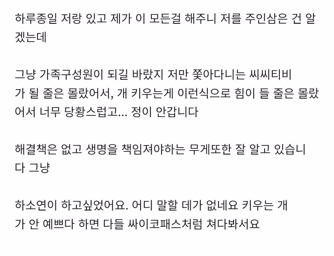 [네이트판] 데려온 개가 도무지 예뻐지질 않습니다 5