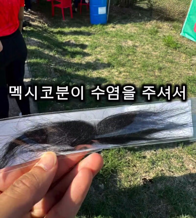 멕시코인 흉내 내다 논란이 된 한국인의 비하인드 스토리 - 클리앙 인기글 이미지 5 - 밈카세
