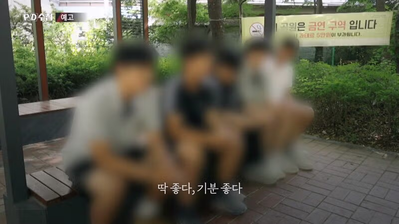 PD수첩이 다시 추적한 일베의 실태 - 디시인사이드 인기글 이미지 3 - 밈카세
