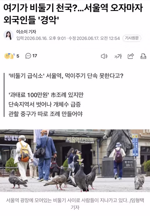 서울역 비둘기 떼에 놀란 외국인들의 반응 - 인벤 인기글 이미지 1 - 밈카세