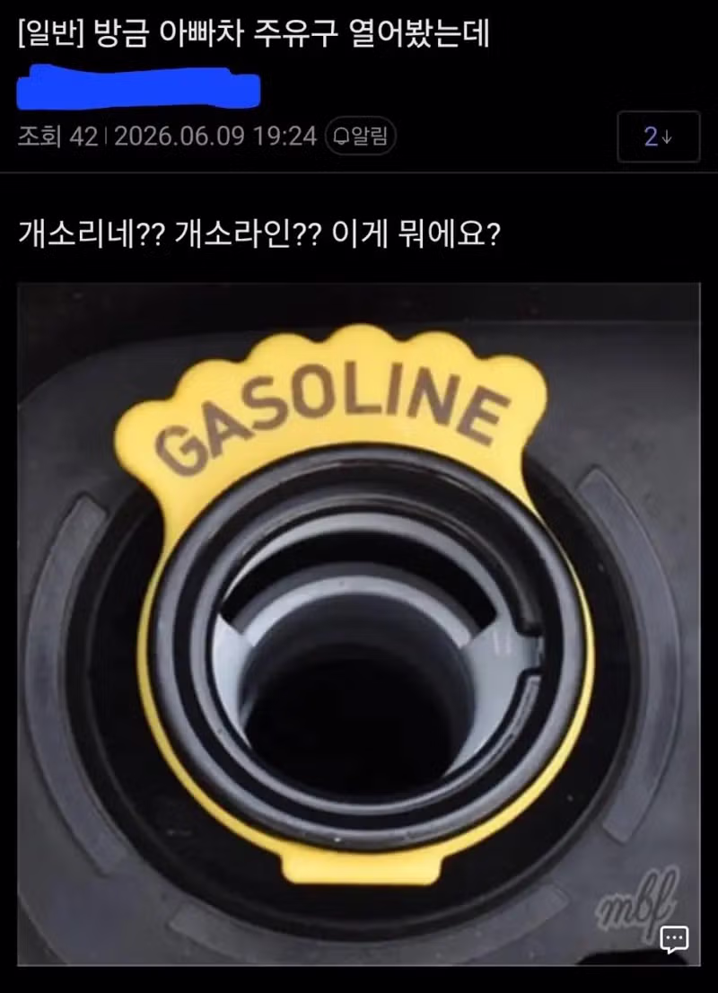아빠 차 주유구에서 발견한 정체불명의 소리 - 뽐뿌 인기글 이미지 1 - 밈카세