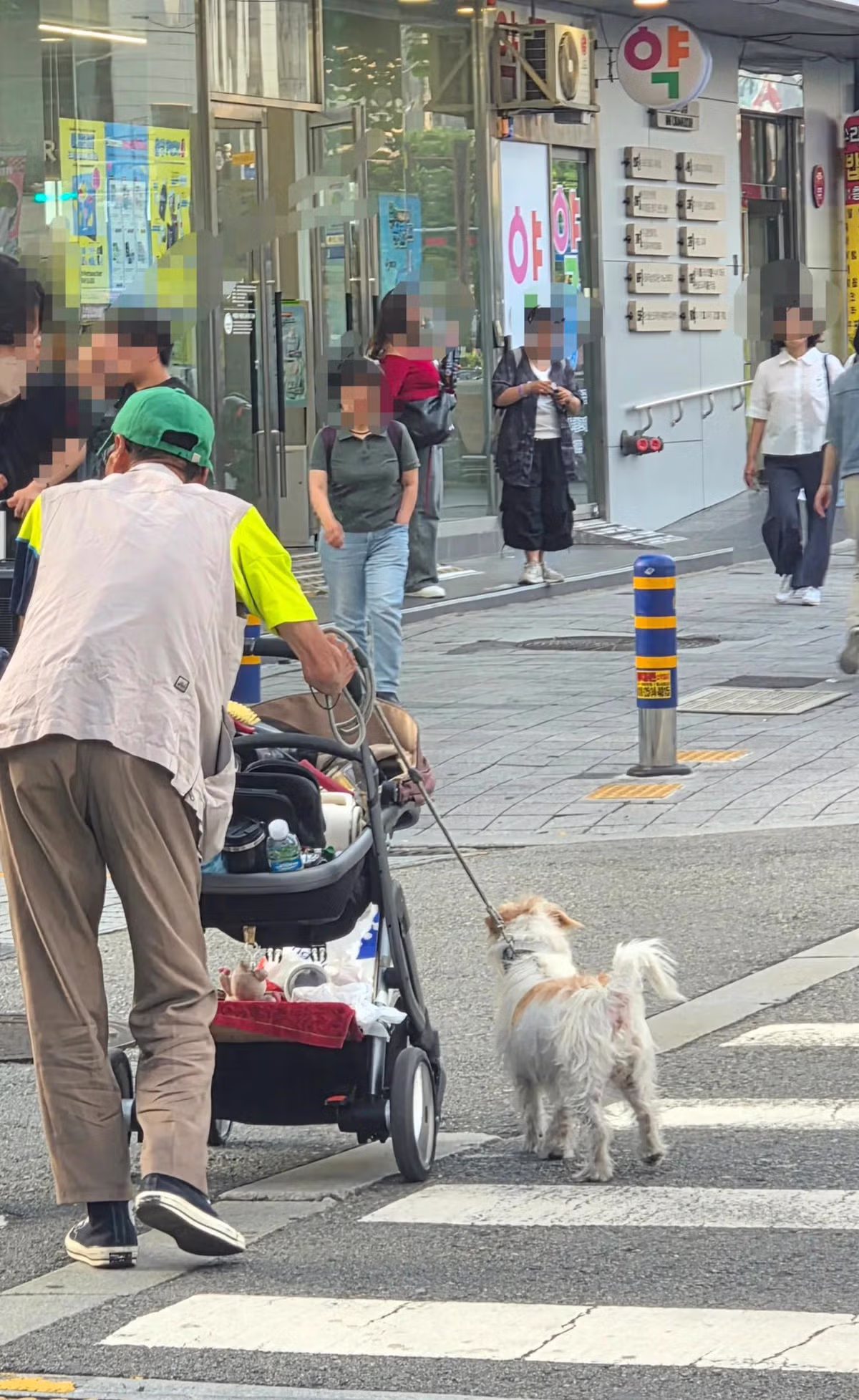 별게 다 강아지 학대라는 주장의 게시글 - 디시인사이드 인기글 이미지 3 - 밈카세