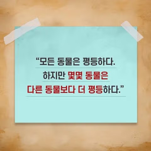 제주 반려동물 수영장 공사 중단 및 환경청 조사 착수 - 인벤 인기글 이미지 2 - 밈카세