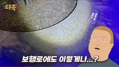 서울 시내에 나타난 바퀴벌레 떼에 놀란 외국인들 - 인벤 인기글 이미지 7 - 밈카세