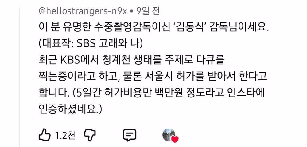 청계천에서 발견된 정체불명의 물체 - 인벤 인기글 이미지 2 - 밈카세