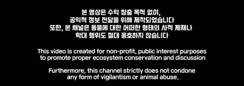 조류 유리 충돌 방지보다 고양이 보호에만 집중하는 상황에 대한 논쟁 - 인벤 인기글 이미지 1 - 밈카세