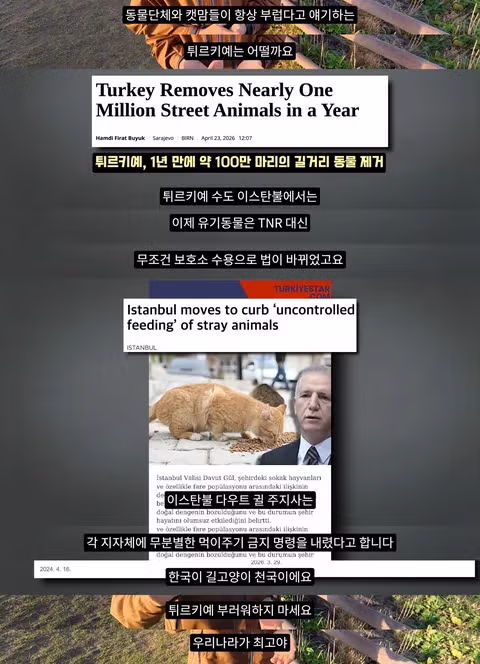 조류 유리 충돌 방지보다 고양이 보호에만 집중하는 상황에 대한 논쟁 - 인벤 인기글 이미지 8 - 밈카세