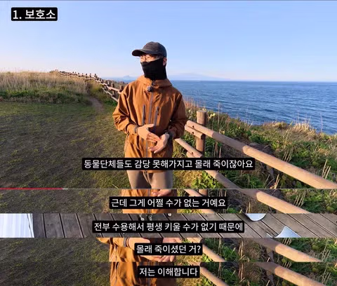 조류 유리 충돌 방지보다 고양이 보호에만 집중하는 상황에 대한 논쟁 - 인벤 인기글 이미지 9 - 밈카세