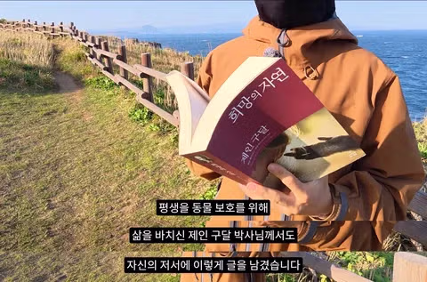 조류 유리 충돌 방지보다 고양이 보호에만 집중하는 상황에 대한 논쟁 - 인벤 인기글 이미지 10 - 밈카세