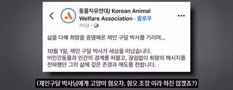 조류 유리 충돌 방지보다 고양이 보호에만 집중하는 상황에 대한 논쟁 - 인벤 인기글 이미지 12 - 밈카세