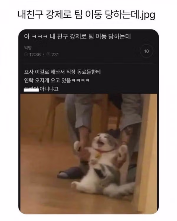 강제 팀 이동을 당한 사람의 프로필 사진 - 인벤 인기글 이미지 1 - 밈카세