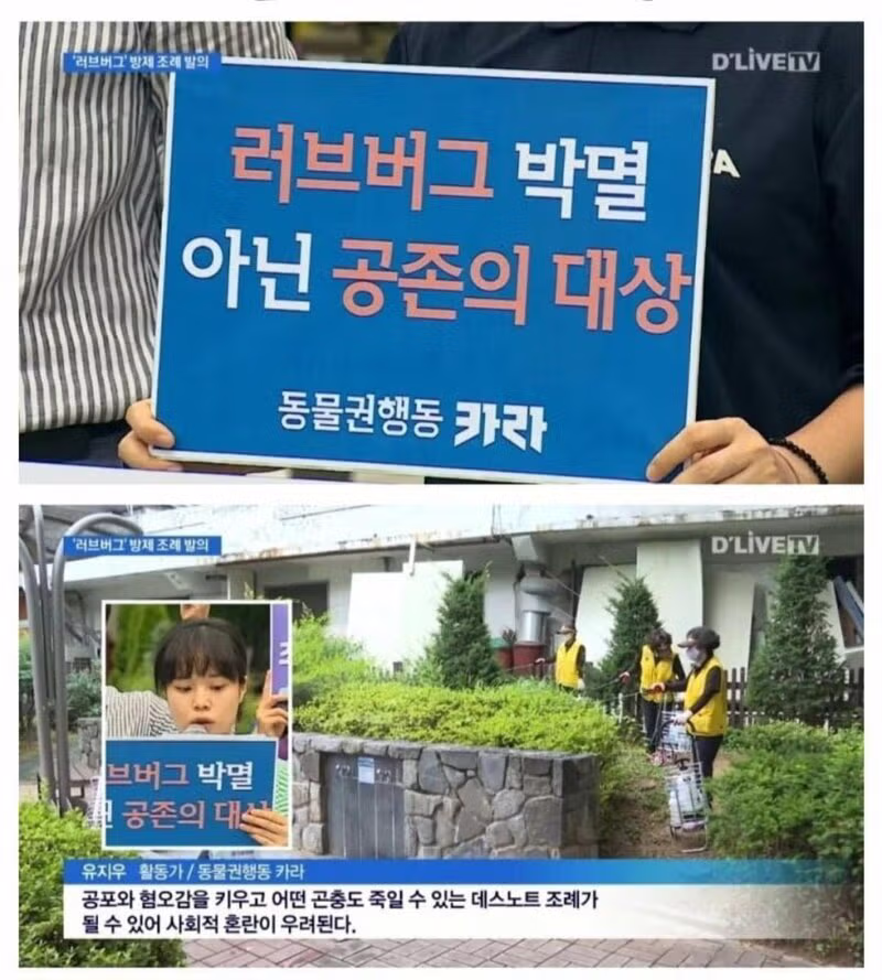 방에서 반려동물 키우는지 묻는 격한 반응 - 뽐뿌 인기글 이미지 1 - 밈카세
