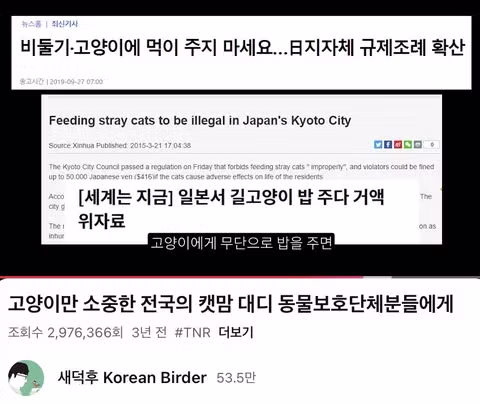 고양이 살처분 논란이 불거진 이유 - 인벤 인기글 이미지 3 - 밈카세