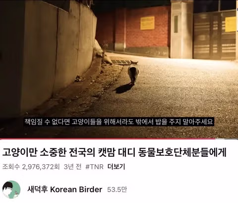 고양이 살처분 논란이 불거진 이유 - 인벤 인기글 이미지 4 - 밈카세