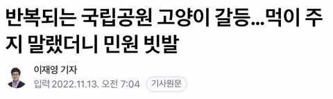 고양이 살처분 논란이 불거진 이유 - 인벤 인기글 이미지 5 - 밈카세