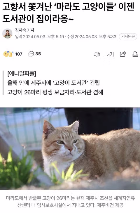 고양이 살처분 논란이 불거진 이유 - 인벤 인기글 이미지 8 - 밈카세