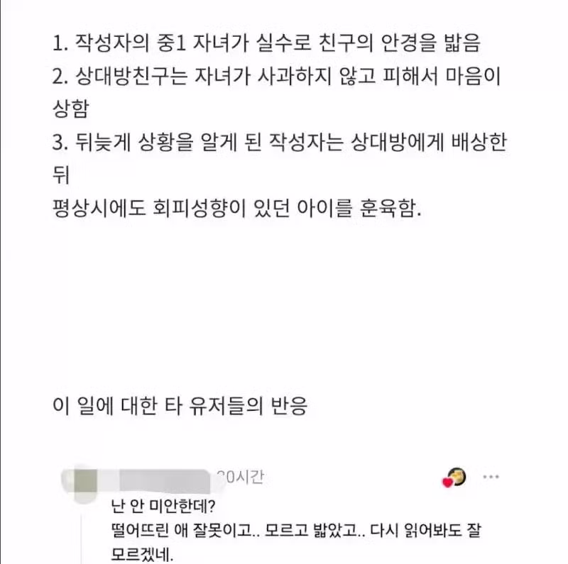 논란이 된 아이 부모의 태도 - 디시인사이드 인기글 이미지 3 - 밈카세