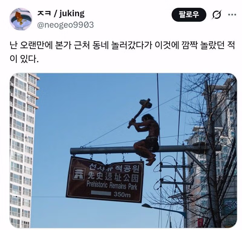 대구의 명물로 소문난 풍경 - 디시인사이드 인기글 이미지 2 - 밈카세