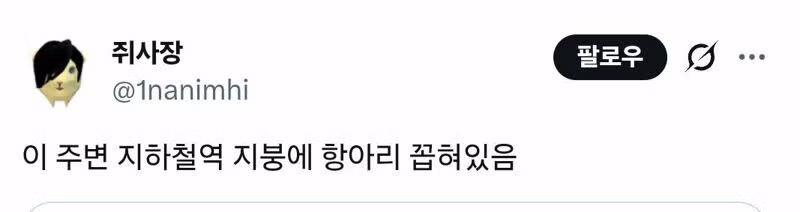 대구의 명물로 소문난 풍경 - 디시인사이드 인기글 이미지 3 - 밈카세