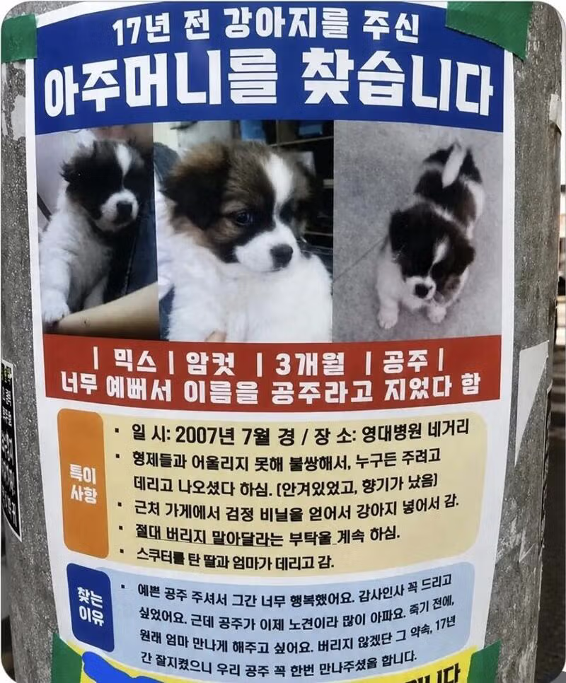 17년 전 강아지를 분양해준 아주머니를 찾는 사연 - 뽐뿌 인기글 이미지 1 - 밈카세