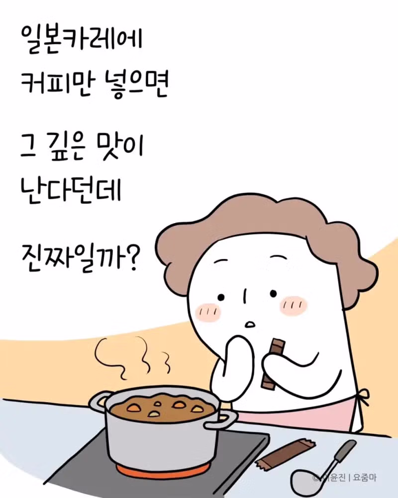 일본 유학시절 먹었던 카레맛을 재현한 분 - 개드립 인기글 이미지 1 - 밈카세