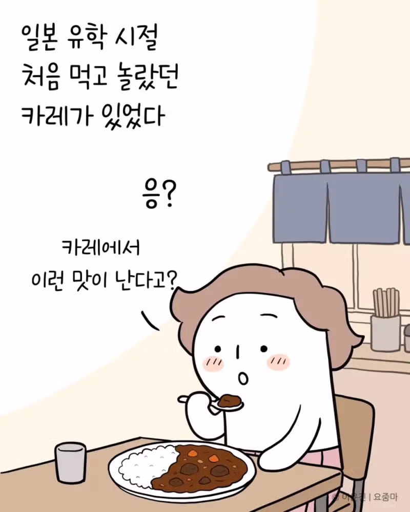 일본 유학시절 먹었던 카레맛을 재현한 분 - 개드립 인기글 이미지 3 - 밈카세