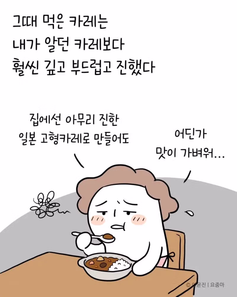 일본 유학시절 먹었던 카레맛을 재현한 분 - 개드립 인기글 이미지 4 - 밈카세