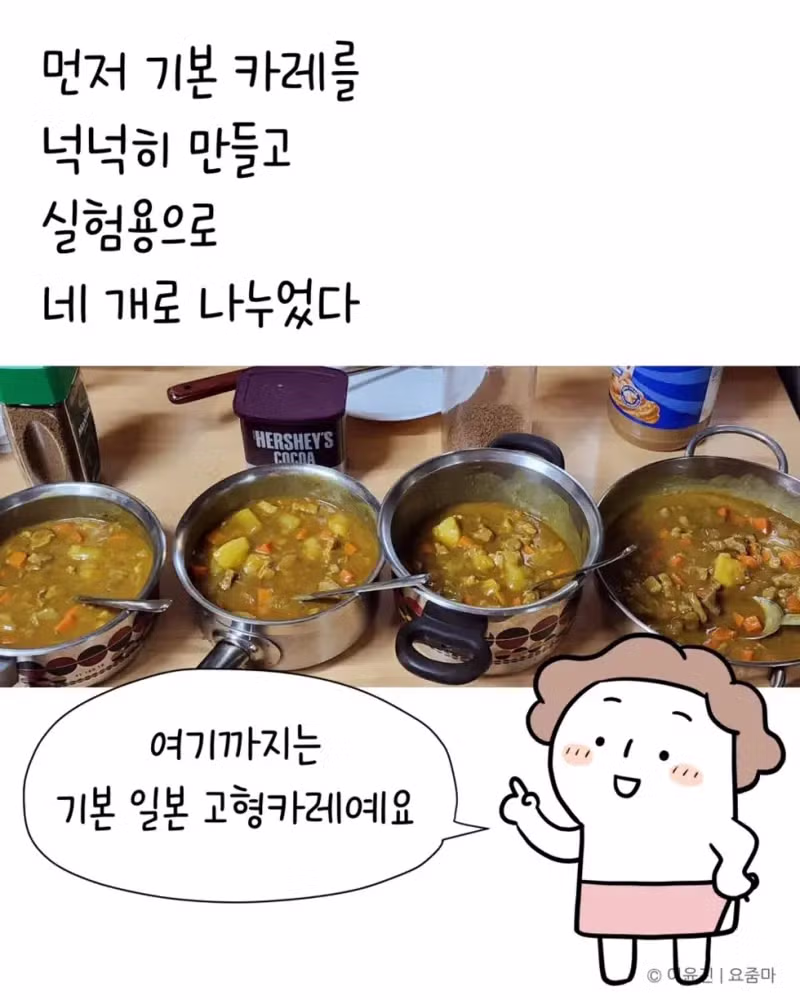 일본 유학시절 먹었던 카레맛을 재현한 분 - 개드립 인기글 이미지 8 - 밈카세