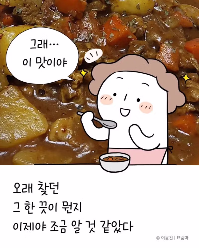 일본 유학시절 먹었던 카레맛을 재현한 분 - 개드립 인기글 이미지 15 - 밈카세