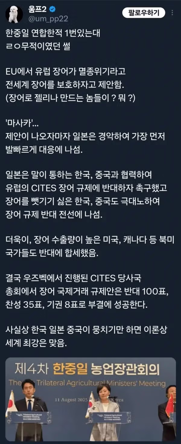 한중일 세 나라가 연합한 드문 사례 - 클리앙 인기글 이미지 2 - 밈카세