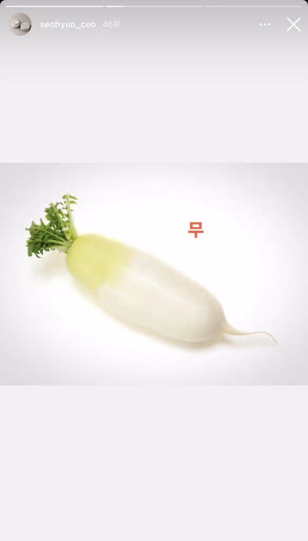 나혼산 주사이모 인스타 근황 2