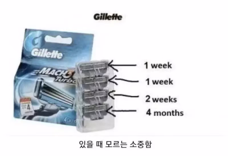남성들의 일반적인 면도날 교체 주기 - 뽐뿌 인기글 이미지 1 - 밈카세