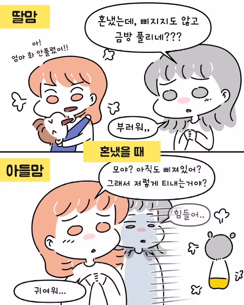 아들 키우는 엄마와 딸 키우는 엄마가 서로 놀라는 포인트 - 디시인사이드 인기글 이미지 9 - 밈카세
