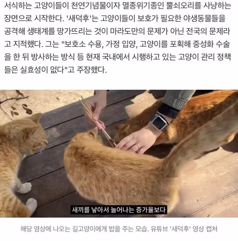멸종위기종 보호 논쟁 중 발생한 엉뚱한 성별 갈라치기 - 인벤 인기글 이미지 2 - 밈카세